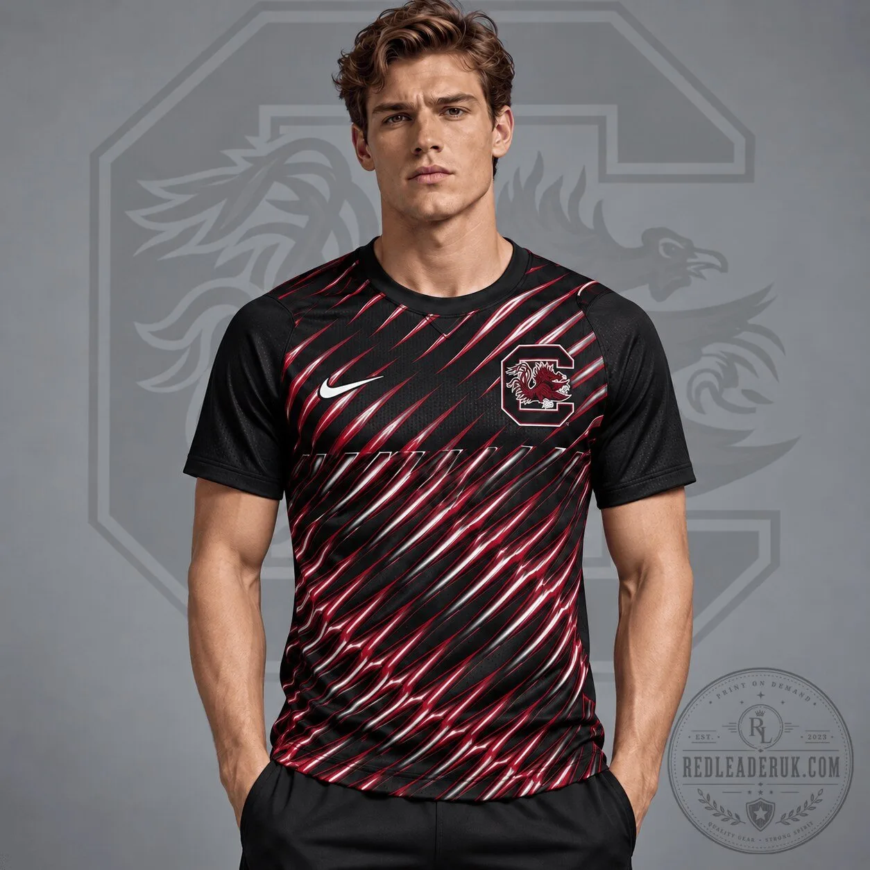 South Carolina Gamecocks Nike Velocity Slash Performance T-Shirt